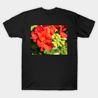 Summer flower colours T-Shirt